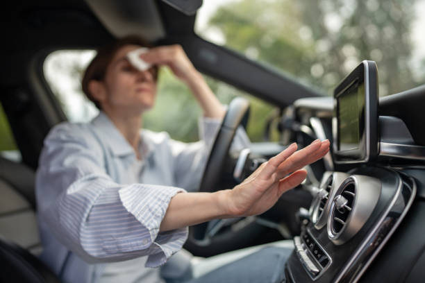 Best Air Conditioning Cleaning in Sergeant Bluff, IA